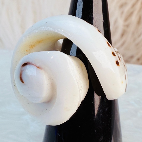 Interesting shell snail beach island chic ring - Picture 7 of 7
